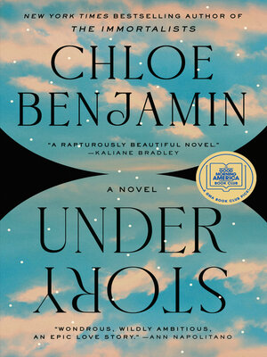 cover image of Under Story